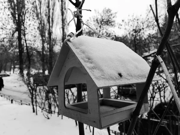 Ein schöner Nistkasten oder Vogelfutterhäuschen für den Winter im Schnee — Stockfoto