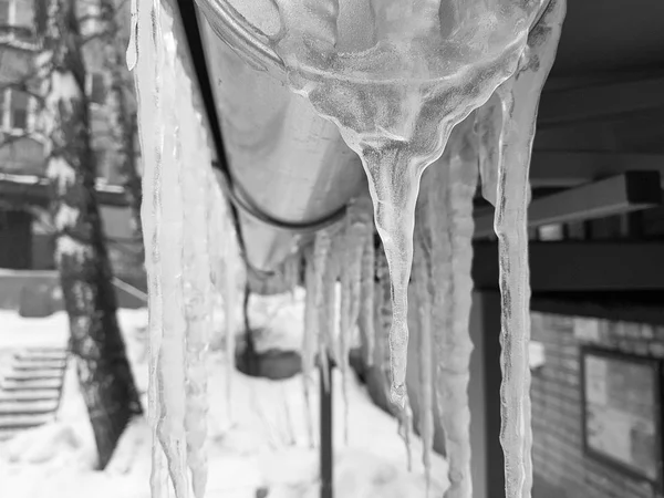 Stora farliga istappar över ingången till huset under vintern eller våren mot snön — Stockfoto