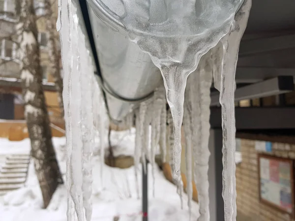 Große gefährliche Eiszapfen über dem Hauseingang im Winter oder Frühling gegen den Schnee — Stockfoto