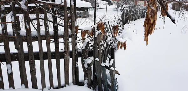 Schöner alter Holzzaun vor dem Hintergrund des Schnees im Winter — Stockfoto