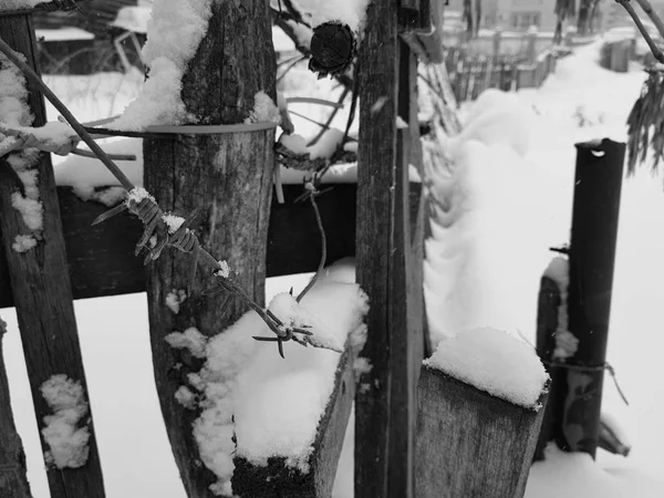 Cerca de madeira velha bonita no fundo da neve no inverno — Fotografia de Stock