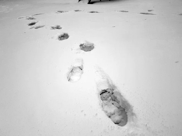 Schöne Fußabdrücke im Schnee im Winter — Stockfoto