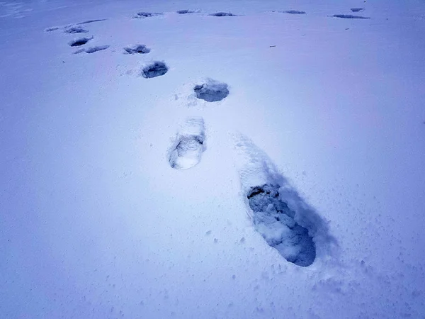 Vackra fotspår i snön i vinter — Stockfoto