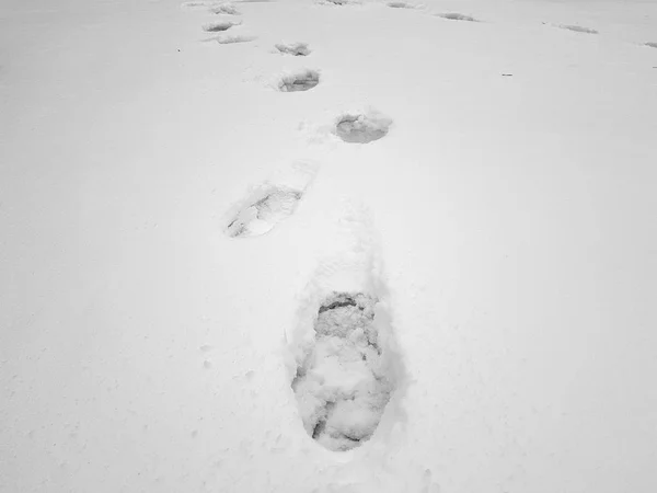 Schöne Fußabdrücke im Schnee im Winter — Stockfoto