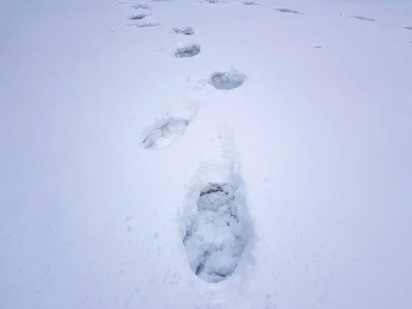 Schöne Fußabdrücke im Schnee im Winter — Stockfoto