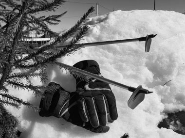 Kış veya ilkbahar aylarında ağacın altında karla kaplı Kayak eldivenleri, kayaklar ve kayak direkleri
