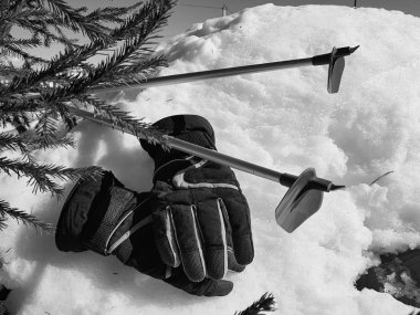 Kış veya ilkbahar aylarında ağacın altında karla kaplı Kayak eldivenleri, kayaklar ve kayak direkleri