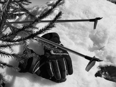 Kış veya ilkbahar aylarında ağacın altında karla kaplı Kayak eldivenleri, kayaklar ve kayak direkleri