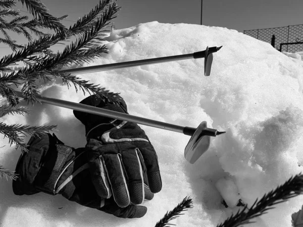 Gants, skis et bâtons de ski dans la neige sous l'arbre en hiver ou au printemps — Photo