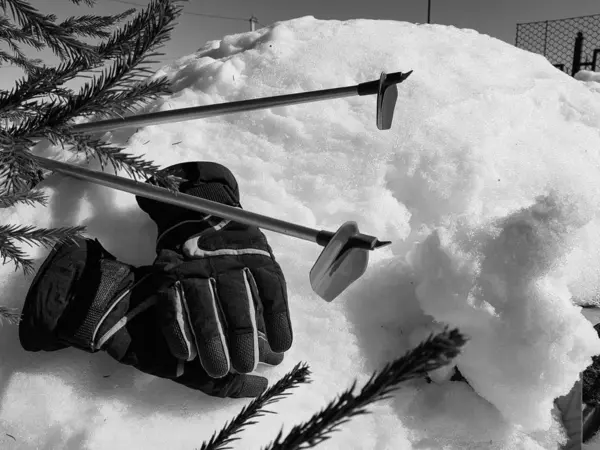 Kış veya ilkbahar aylarında ağacın altında karla kaplı Kayak eldivenleri, kayaklar ve kayak direkleri — Stok fotoğraf