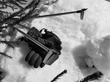 Kış veya ilkbahar aylarında ağacın altında karla kaplı Kayak eldivenleri, kayaklar ve kayak direkleri