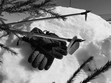 Kış veya ilkbahar aylarında ağacın altında karla kaplı Kayak eldivenleri, kayaklar ve kayak direkleri