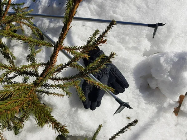 Lyžařské rukavice, lyže a lyžařské tyče ve sněhu pod stromem v zimě nebo na jaře — Stock fotografie