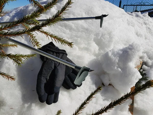 Luvas de esqui, esquis e bastões de esqui na neve sob a árvore no inverno ou na primavera — Fotografia de Stock