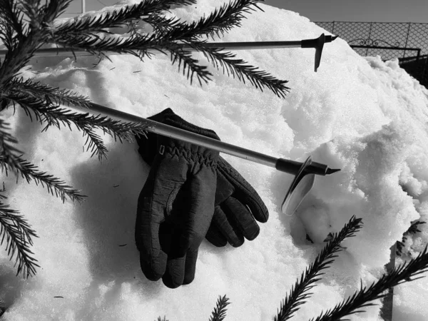 Guantes de esquí, esquís y bastones de esquí en la nieve bajo el árbol en invierno o primavera —  Fotos de Stock