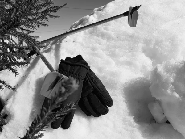 Guantes de esquí, esquís y bastones de esquí en la nieve bajo el árbol en invierno o primavera —  Fotos de Stock