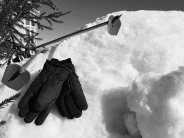 Kış veya ilkbahar aylarında ağacın altında karla kaplı Kayak eldivenleri, kayaklar ve kayak direkleri