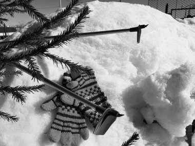 Kış veya ilkbahar aylarında ağacın altında karla kaplı Kayak eldivenleri, kayaklar ve kayak direkleri