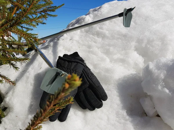 Ski gloves, skis and ski poles in the snow under the tree in winter or spring