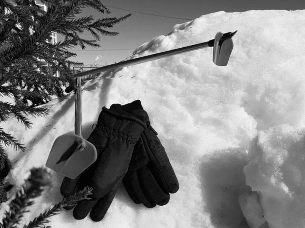 Ski gloves, skis and ski poles in the snow under the tree in winter or spring