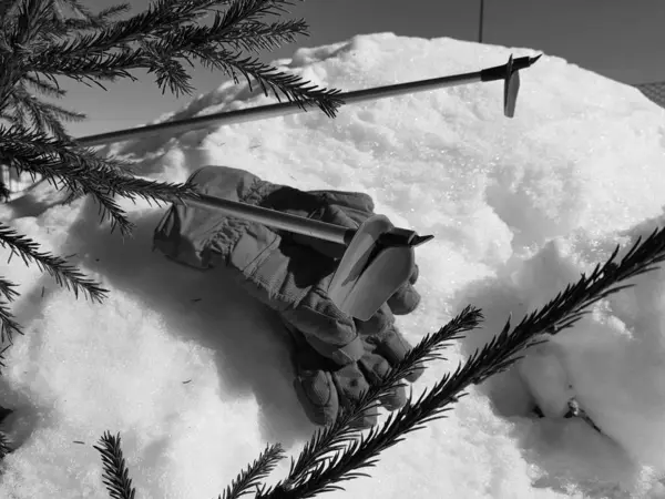 Γάντια του σκι, σκι και πόλους σκι στο χιόνι κάτω από το δέντρο το χειμώνα ή την άνοιξη — Φωτογραφία Αρχείου