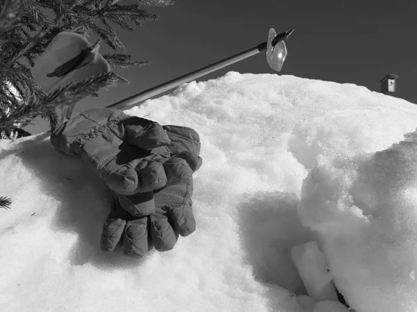 Guantes de esquí, esquís y bastones de esquí en la nieve bajo el árbol en invierno o primavera —  Fotos de Stock