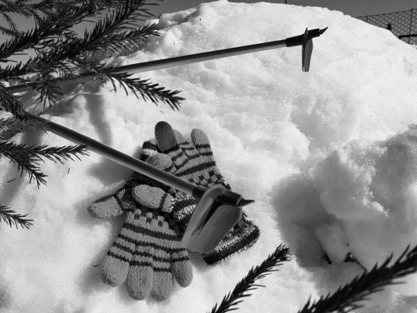 Ski gloves, skis and ski poles in the snow under the tree in winter or spring