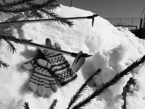 Ski gloves, skis and ski poles in the snow under the tree in winter or spring