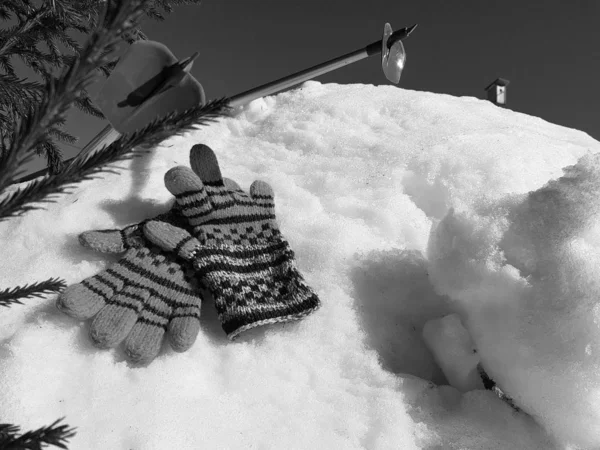 Ski gloves, skis and ski poles in the snow under the tree in winter or spring