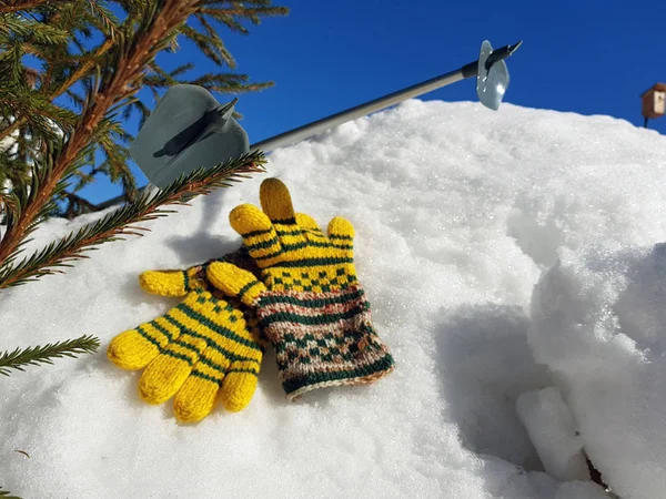 Ski gloves, skis and ski poles in the snow under the tree in winter or spring