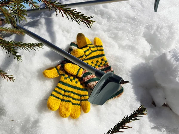 Ski gloves, skis and ski poles in the snow under the tree in winter or spring