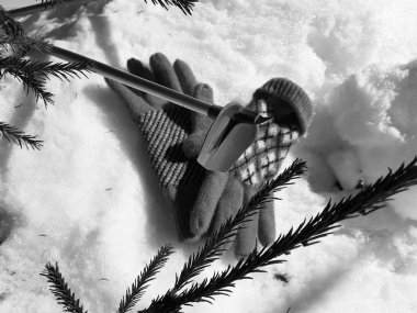 Kış veya ilkbahar aylarında ağacın altında karla kaplı Kayak eldivenleri, kayaklar ve kayak direkleri