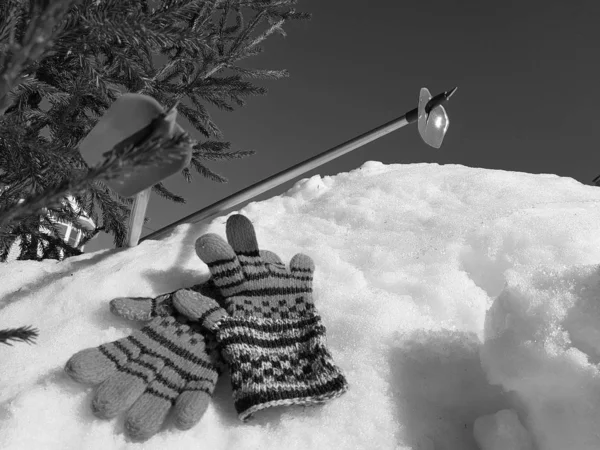 Ski gloves, skis and ski poles in the snow under the tree in winter or spring