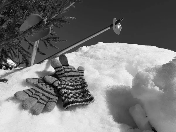 Ski gloves, skis and ski poles in the snow under the tree in winter or spring