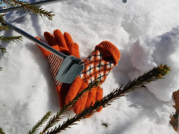 Ski gloves, skis and ski poles in the snow under the tree in winter or spring