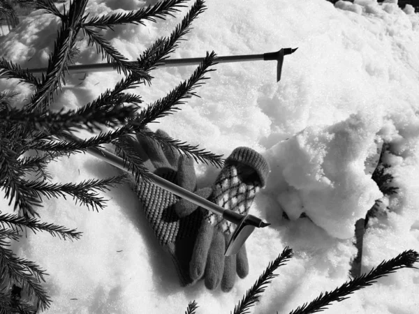 Gants, skis et bâtons de ski dans la neige sous l'arbre en hiver ou au printemps — Photo