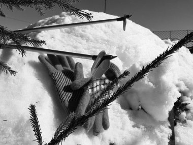 Kış veya ilkbahar aylarında ağacın altında karla kaplı Kayak eldivenleri, kayaklar ve kayak direkleri