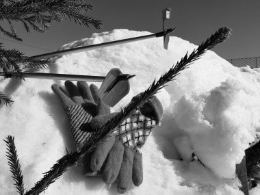 Kış veya ilkbahar aylarında ağacın altında karla kaplı Kayak eldivenleri, kayaklar ve kayak direkleri