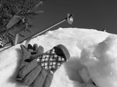 Kış veya ilkbahar aylarında ağacın altında karla kaplı Kayak eldivenleri, kayaklar ve kayak direkleri