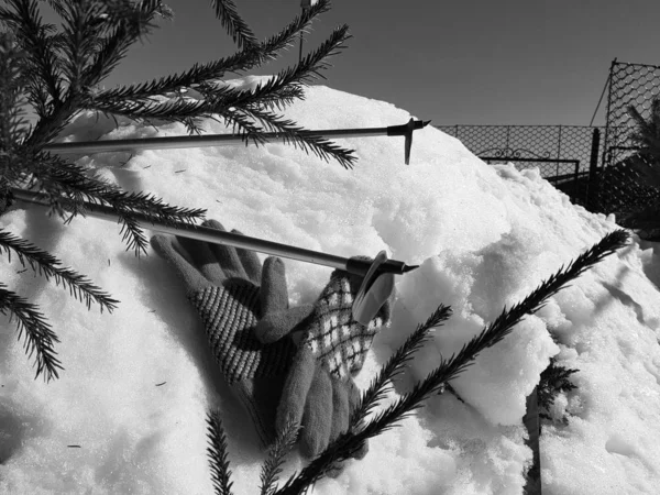 Luvas de esqui, esquis e bastões de esqui na neve sob a árvore no inverno ou na primavera — Fotografia de Stock