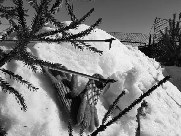 Luvas de esqui, esquis e bastões de esqui na neve sob a árvore no inverno ou na primavera — Fotografia de Stock