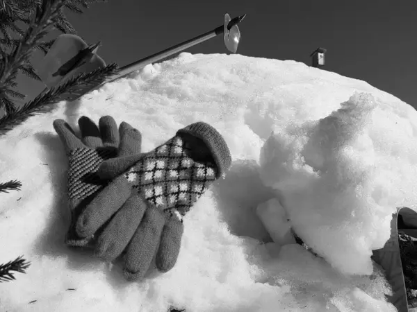 Gants, skis et bâtons de ski dans la neige sous l'arbre en hiver ou au printemps — Photo