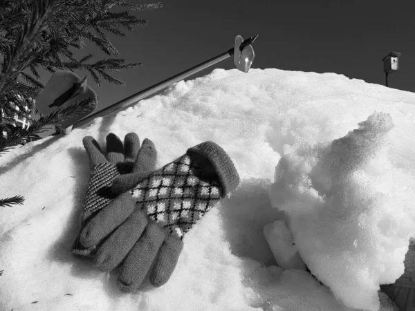 Kış veya ilkbahar aylarında ağacın altında karla kaplı Kayak eldivenleri, kayaklar ve kayak direkleri