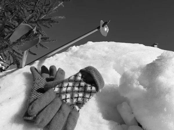 Gants, skis et bâtons de ski dans la neige sous l'arbre en hiver ou au printemps — Photo