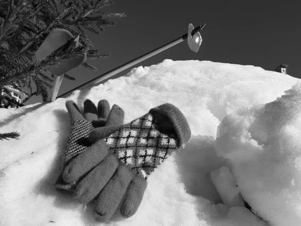 Kış veya ilkbahar aylarında ağacın altında karla kaplı Kayak eldivenleri, kayaklar ve kayak direkleri