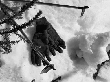 Kış veya ilkbahar aylarında ağacın altında karla kaplı Kayak eldivenleri, kayaklar ve kayak direkleri