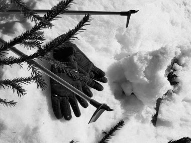 Kış veya ilkbahar aylarında ağacın altında karla kaplı Kayak eldivenleri, kayaklar ve kayak direkleri