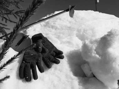 Kış veya ilkbahar aylarında ağacın altında karla kaplı Kayak eldivenleri, kayaklar ve kayak direkleri