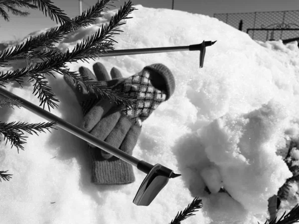 Kış veya ilkbahar aylarında ağacın altında karla kaplı Kayak eldivenleri, kayaklar ve kayak direkleri