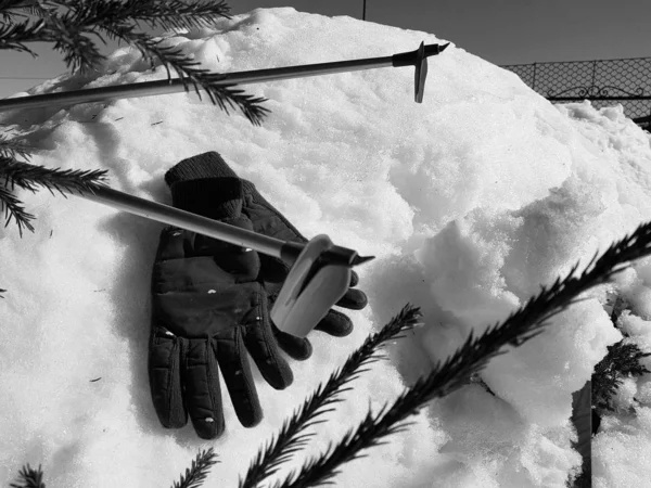 Guantes de esquí, esquís y bastones de esquí en la nieve bajo el árbol en invierno o primavera —  Fotos de Stock